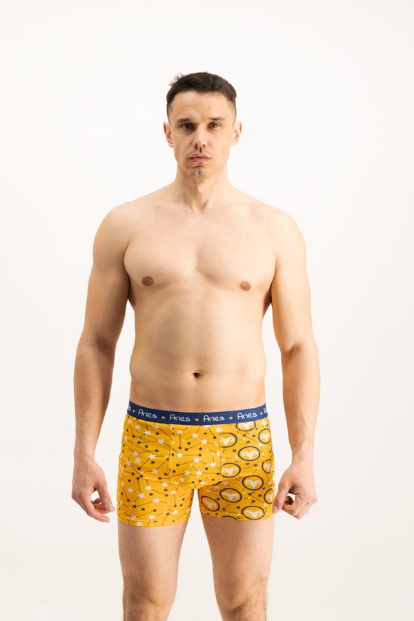 Frogies Men's boxers Frogies Zodiac Овен