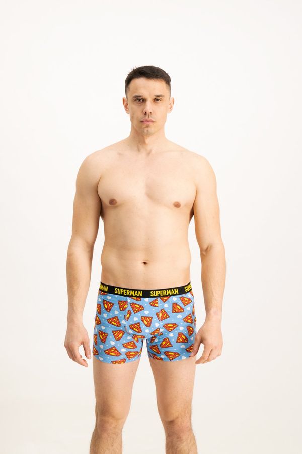 Licensed Men's boxers Superman Love - Frogies