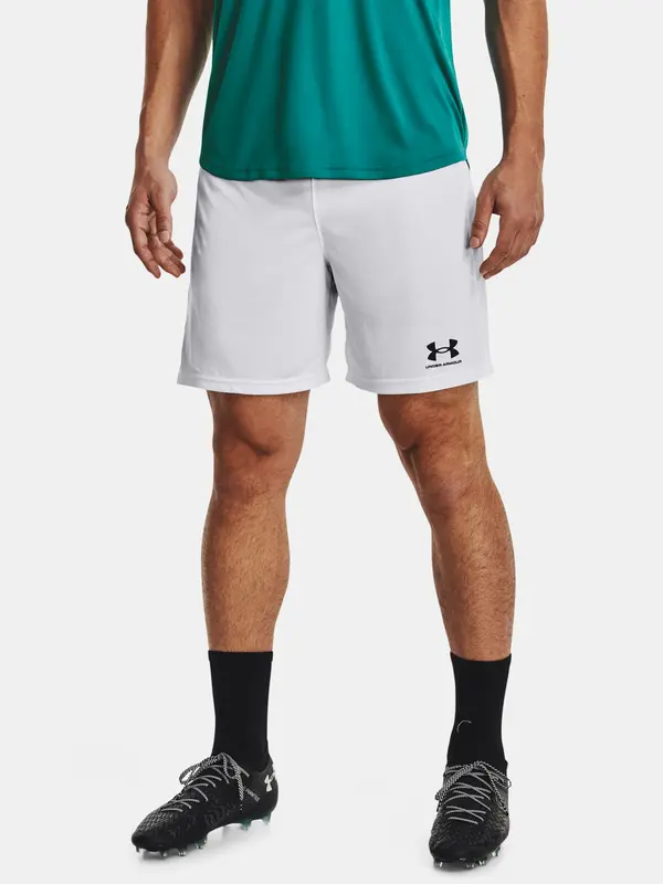 Under Armour Men's shorts Under Armour