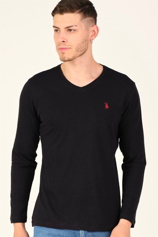 dewberry Мъжка блуза. dewberry