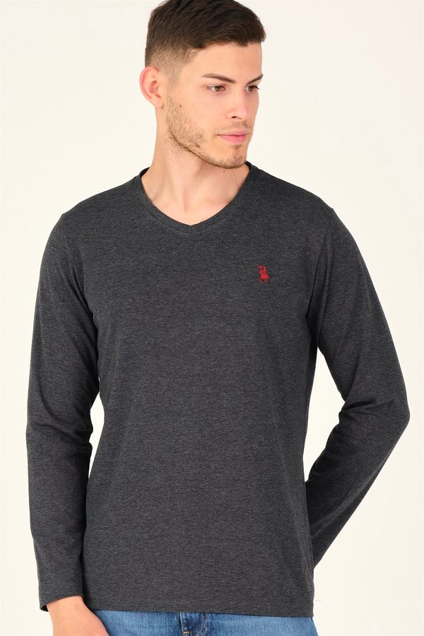 dewberry Мъжка блуза. dewberry