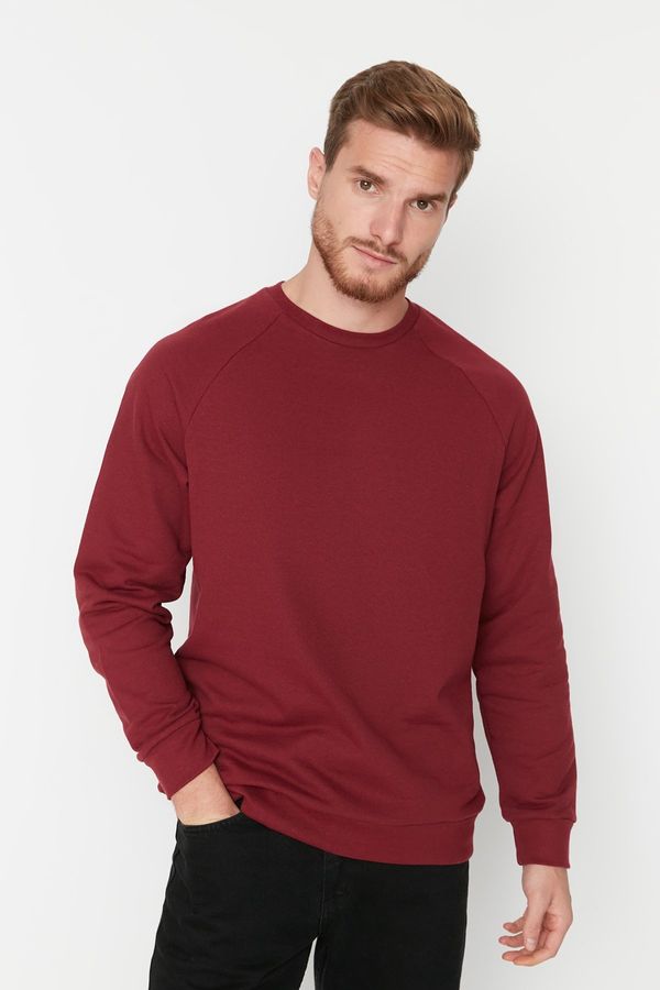Trendyol Мъжка блуза. Trendyol Raglan
