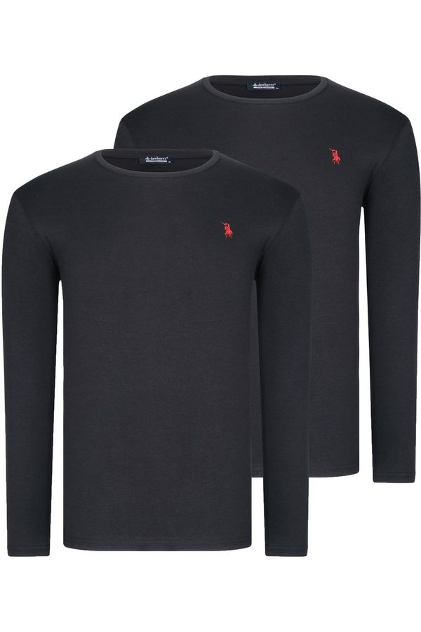 dewberry Мъжка тениска dewberry Antrsit