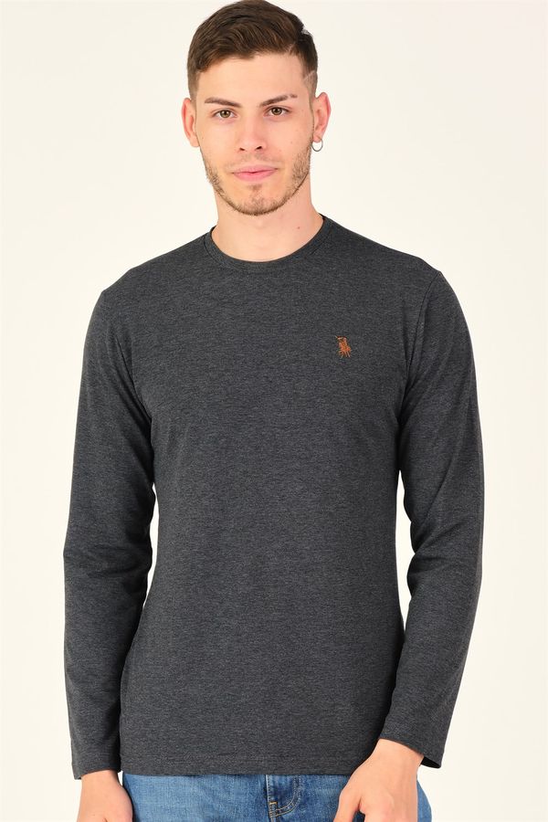 dewberry Мъжка тениска dewberry Antrsit