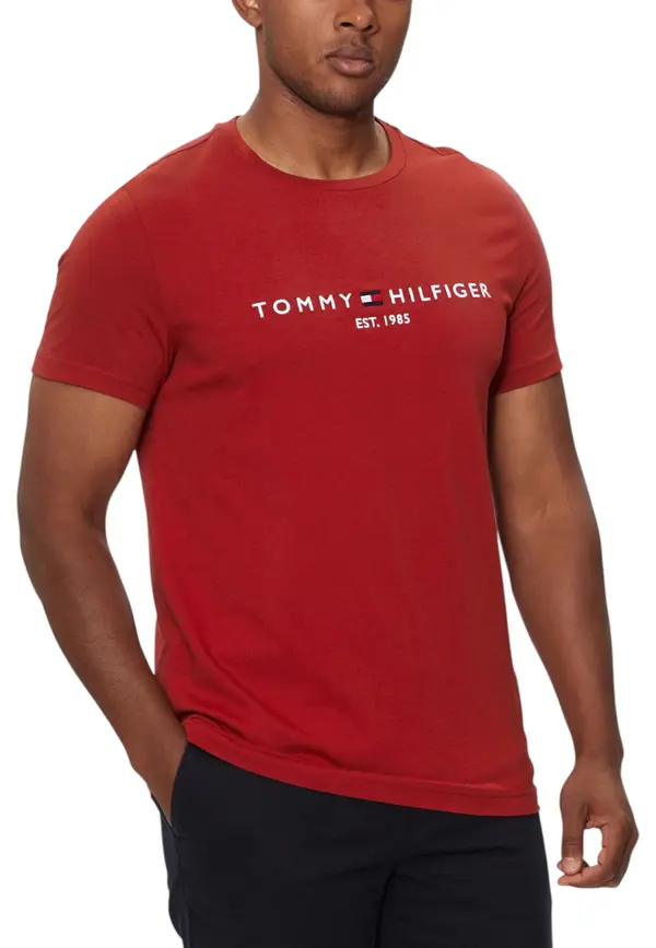 Tommy Hilfiger Jeans Мъжка тениска Tommy Hilfiger