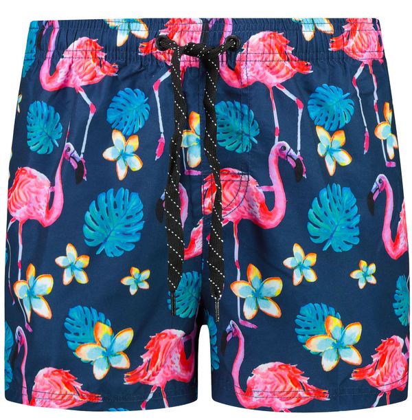 Ombre Мъжки бански Ombre