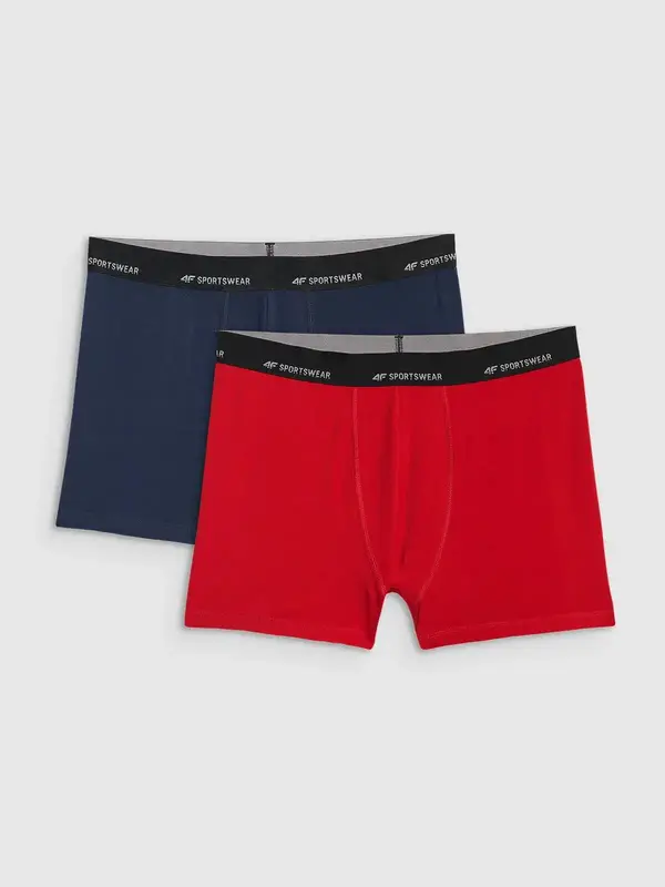 4F Мъжки боксерки 4F Falcon (2 бр.)