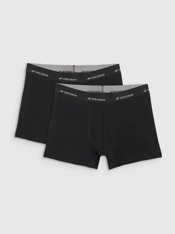 4F Мъжки боксерки 4F Falcon (2 броя)