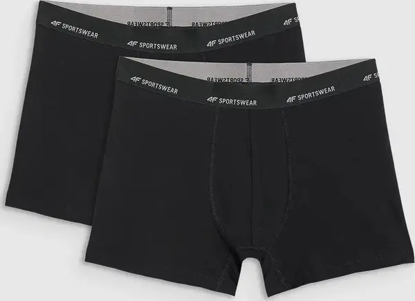 4F Мъжки боксерки 4F Falcon (2 броя)