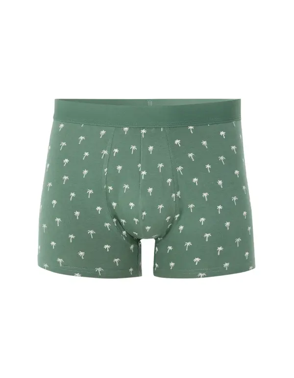 Celio Мъжки боксерки Celio Nibopalma