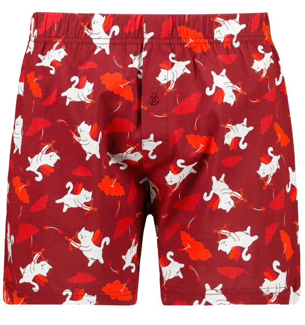 Frogies Мъжки боксерки. Frogies