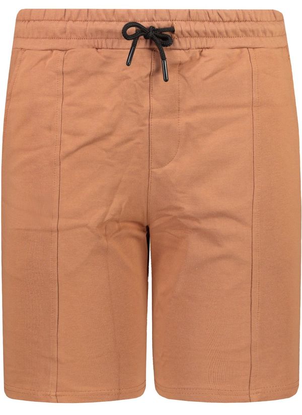 Trendyol Мъжки къси панталони Trendyol Bermuda