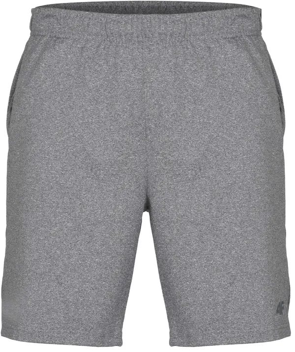 4F Мъжки плувни шорти 4F