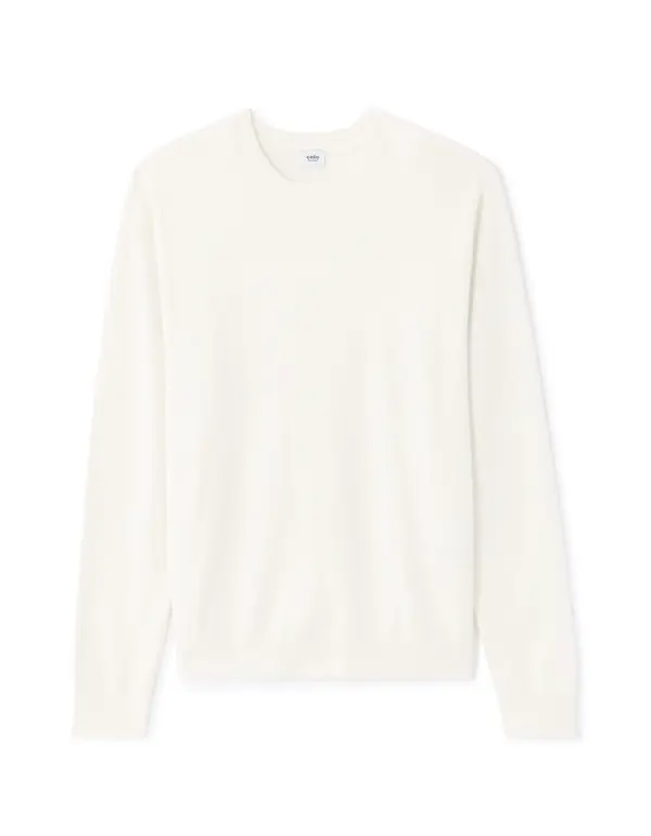 Celio Мъжки пуловер Celio Neviskozv