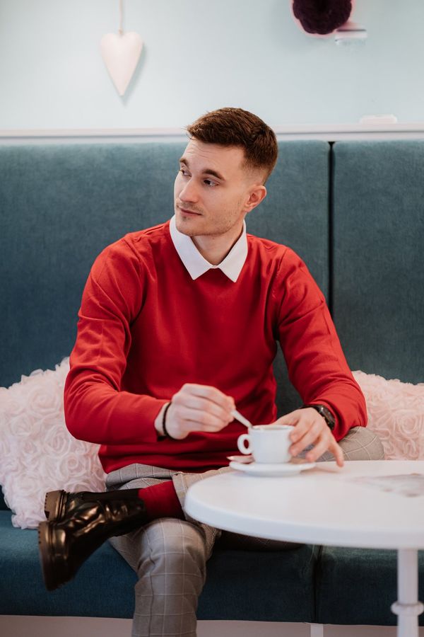 Edoti Мъжки пуловер Edoti E199