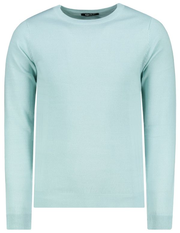 Edoti Мъжки пуловер Edoti E199