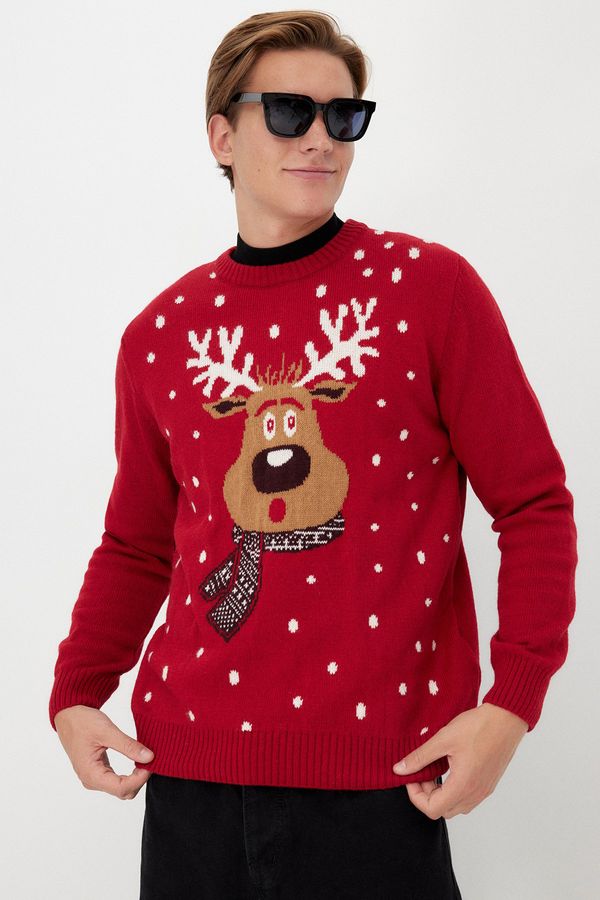 Trendyol Мъжки пуловер Trendyol