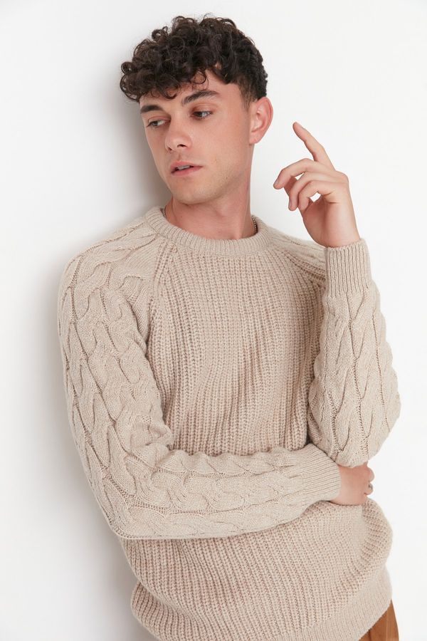 Trendyol Мъжки пуловер Trendyol Knitwear