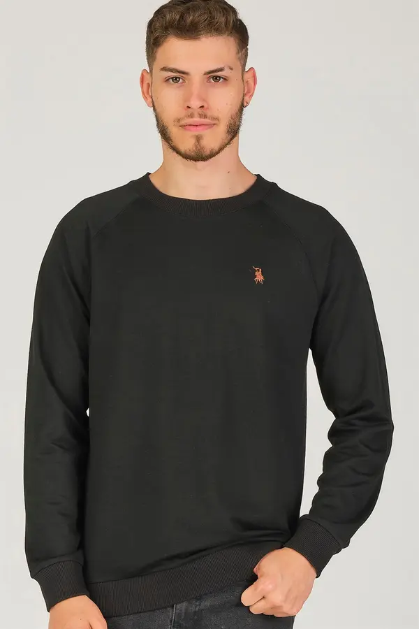 dewberry Мъжки пуловер. dewberry Basic