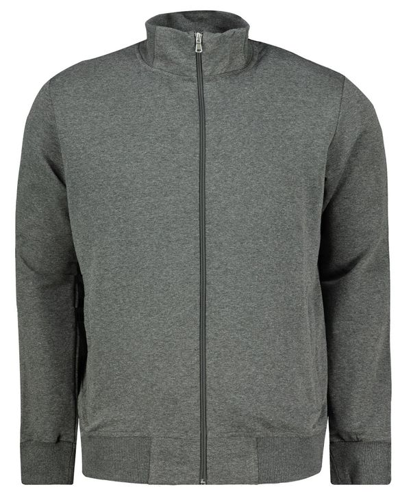 Aliatic Мъжки суичър Aliatic