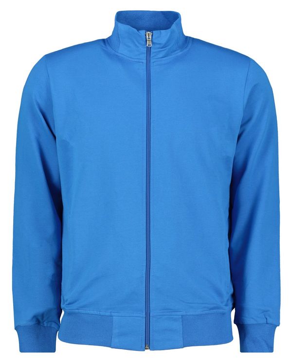 Aliatic Мъжки суичър Aliatic