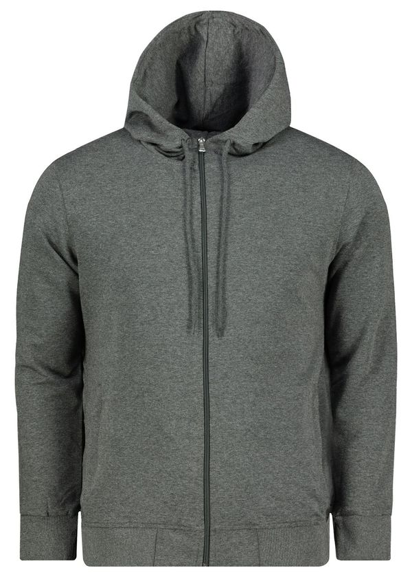 Aliatic Мъжки суичър Aliatic