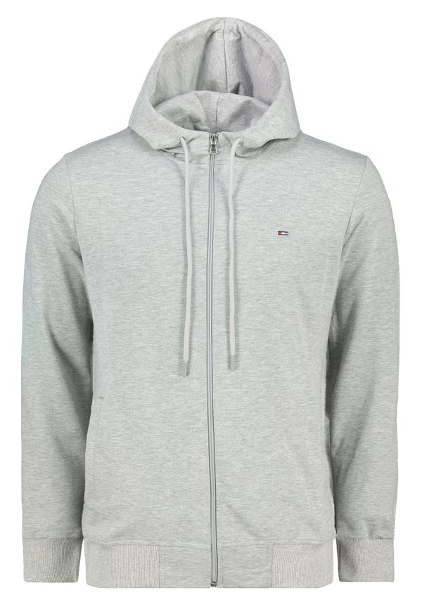 Aliatic Мъжки суичър Aliatic