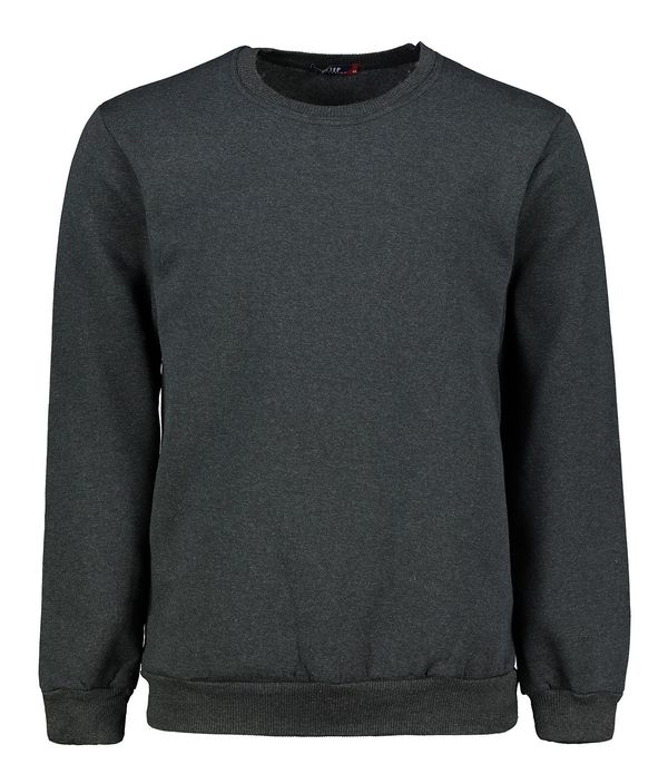 Aliatic Мъжки суичър Aliatic