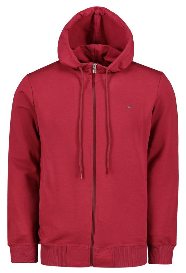 Aliatic Мъжки суичър Aliatic