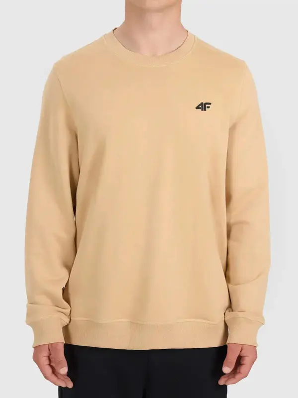4F Мъжки суитшърт 4F Dylan