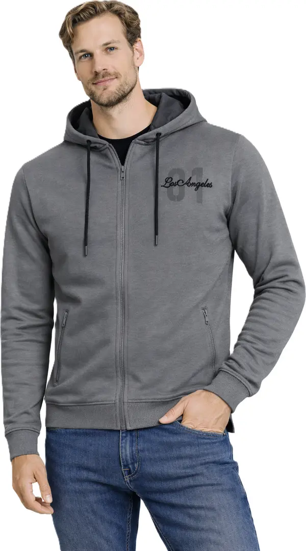 VENTUS Мъжки суитшърт Ventus - M-519 сив