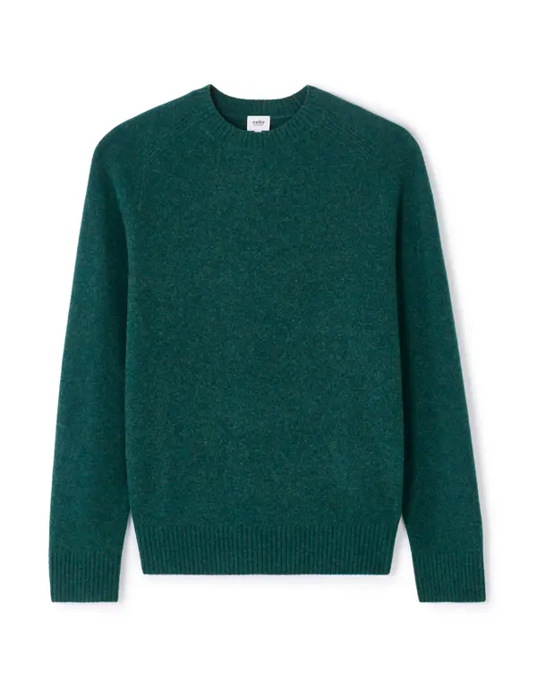 Celio Мъжки вълнен пуловер Celio Cewool
