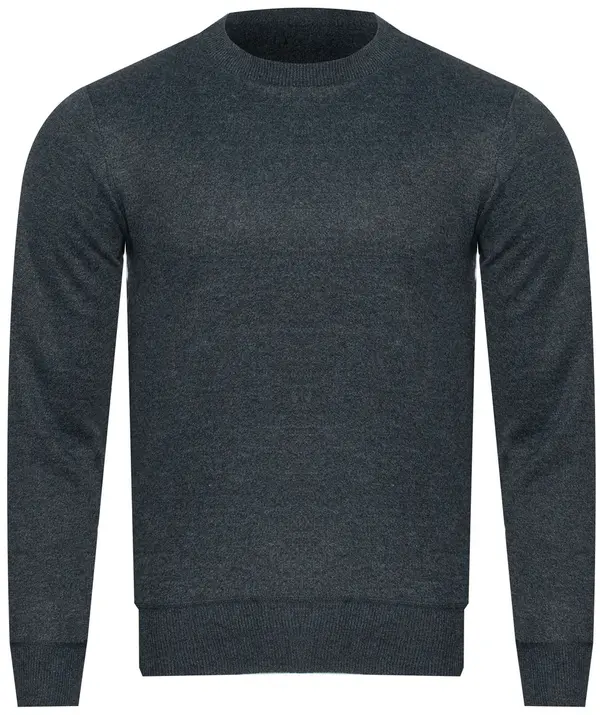 NEW WISE Мъжко зимно яке NEW WISE