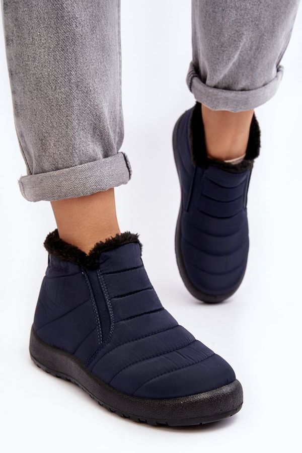 PE1 PE1 Ниски дамски ботуши за сняг с подплата, тъмносини Enmore