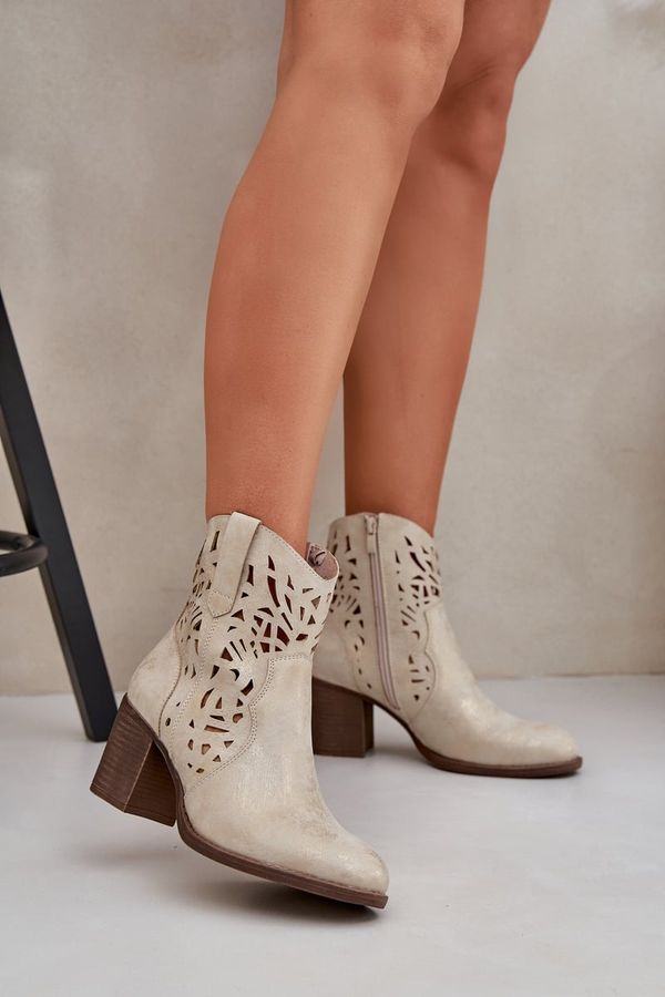 PE2 PE2 Дупчести Ботуши На Ток Златни Нуриса