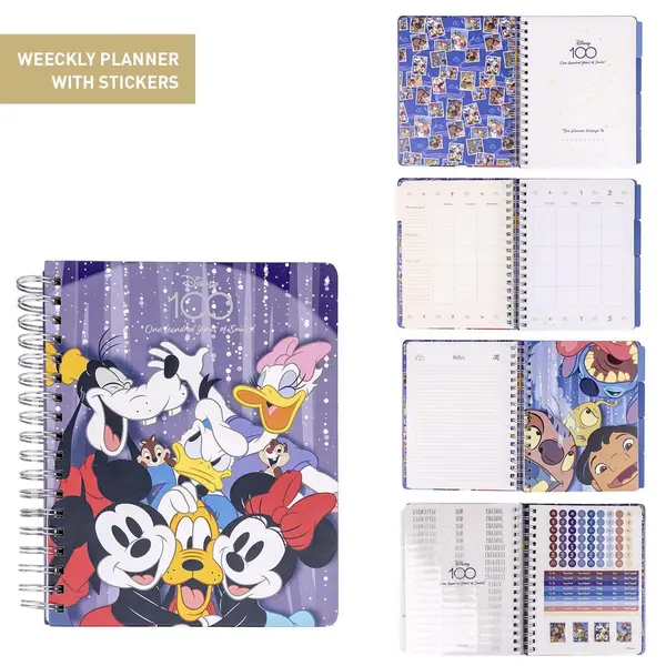 DISNEY 100 Планер. DISNEY 100