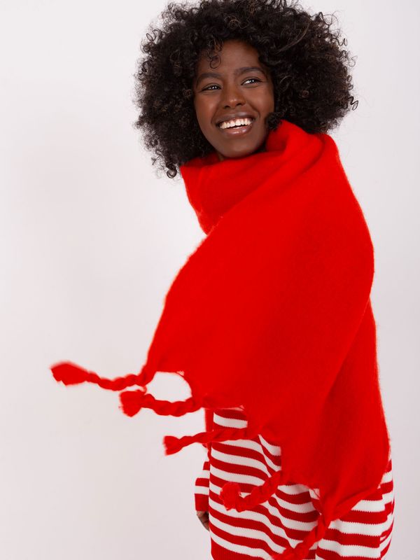 Fashionhunters Red warm scarf with fringe