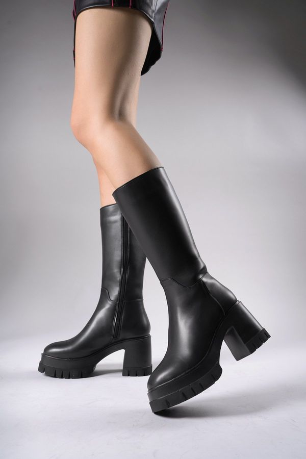 Riccon Riccon Lvamel Women's Above Knee High Heeled Boots 0012501 Black Skin.