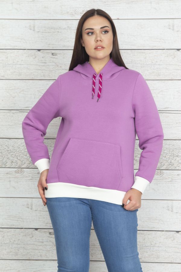 Şans Şans Women's Plus Size Lilac Hooded Sweatshirt with Rayons