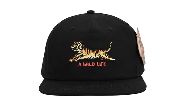 The Dudes Шапка The Dudes A Wild Life