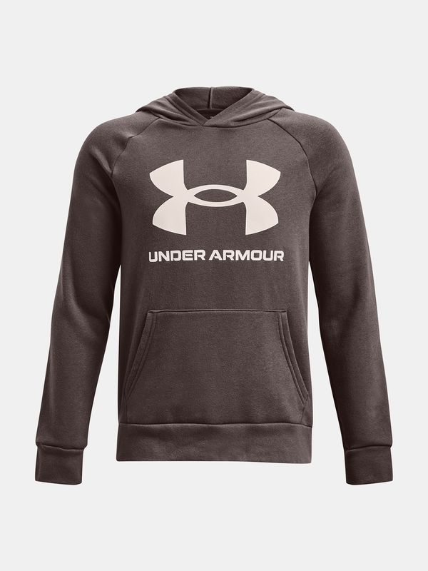 Under Armour Суичър за момче. Under Armour Logo
