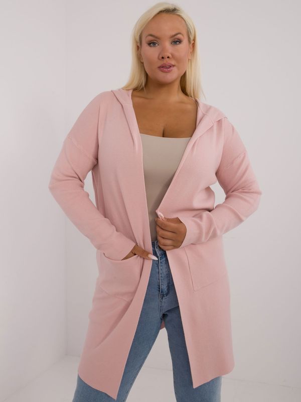 P-M Sweater-PM-SW-PM728.02-light pink