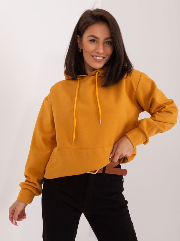 Factory Price Sweatshirt-HP-BL-0103.07-dark yellow