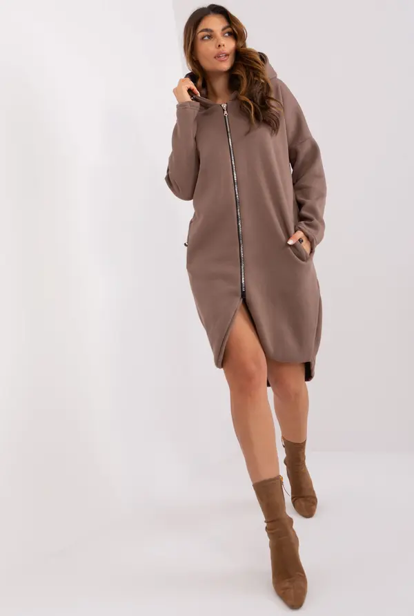 RELEVANCE Sweatshirt-RV-BL-4858-2.97P-brown