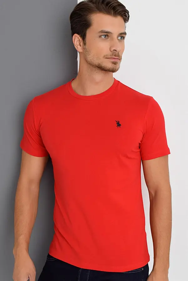dewberry T8536 DEWBERRY