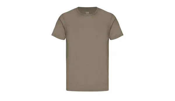 Colorful Standard Тениска от органичен памук в кафяво