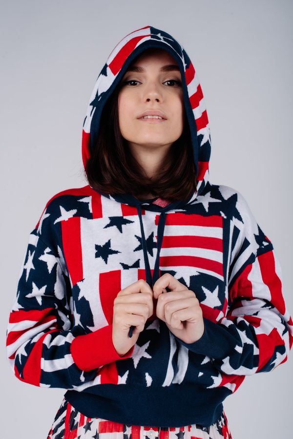 Tommy Hilfiger Tommy Jeans Sweater - TJW LOGO HOODIE SWEATER blue-white-red