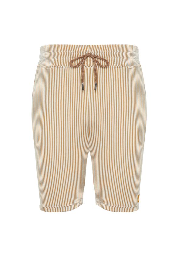 Trendyol Trendyol Beige Striped Regular Cut Shorts