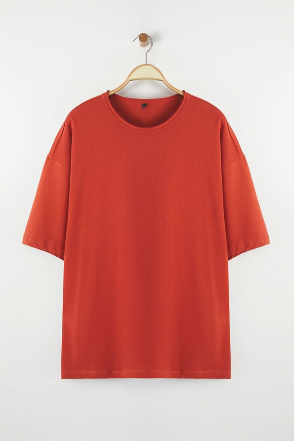 Trendyol Trendyol Brick Regular/Normal Cut Collar Detailed 100% Cotton T-Shirt