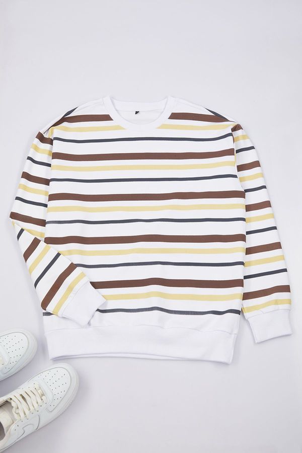 Trendyol Trendyol Brown Oversize/Wide Cut Striped Sweatshirt